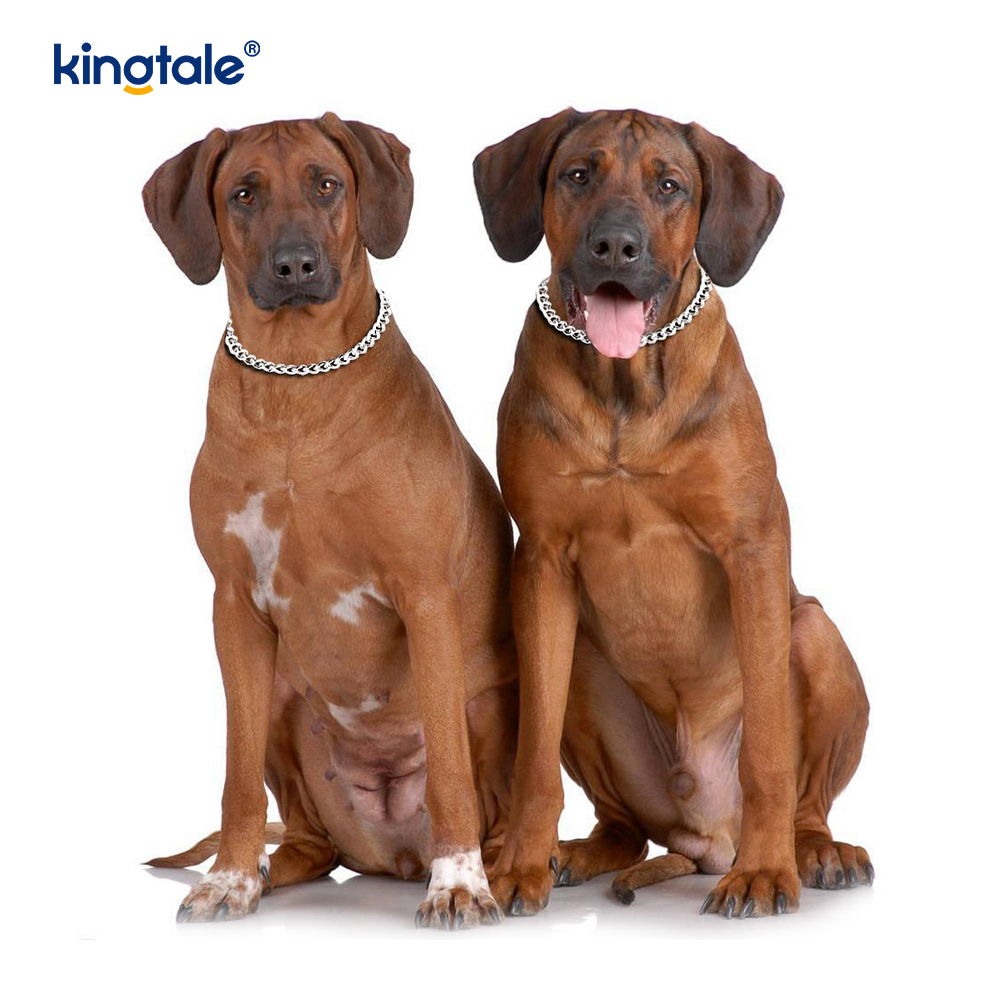 Chaîne lourde de chaîne de glissement de collier d'étranglement de chien de formation en métal pour des chiens