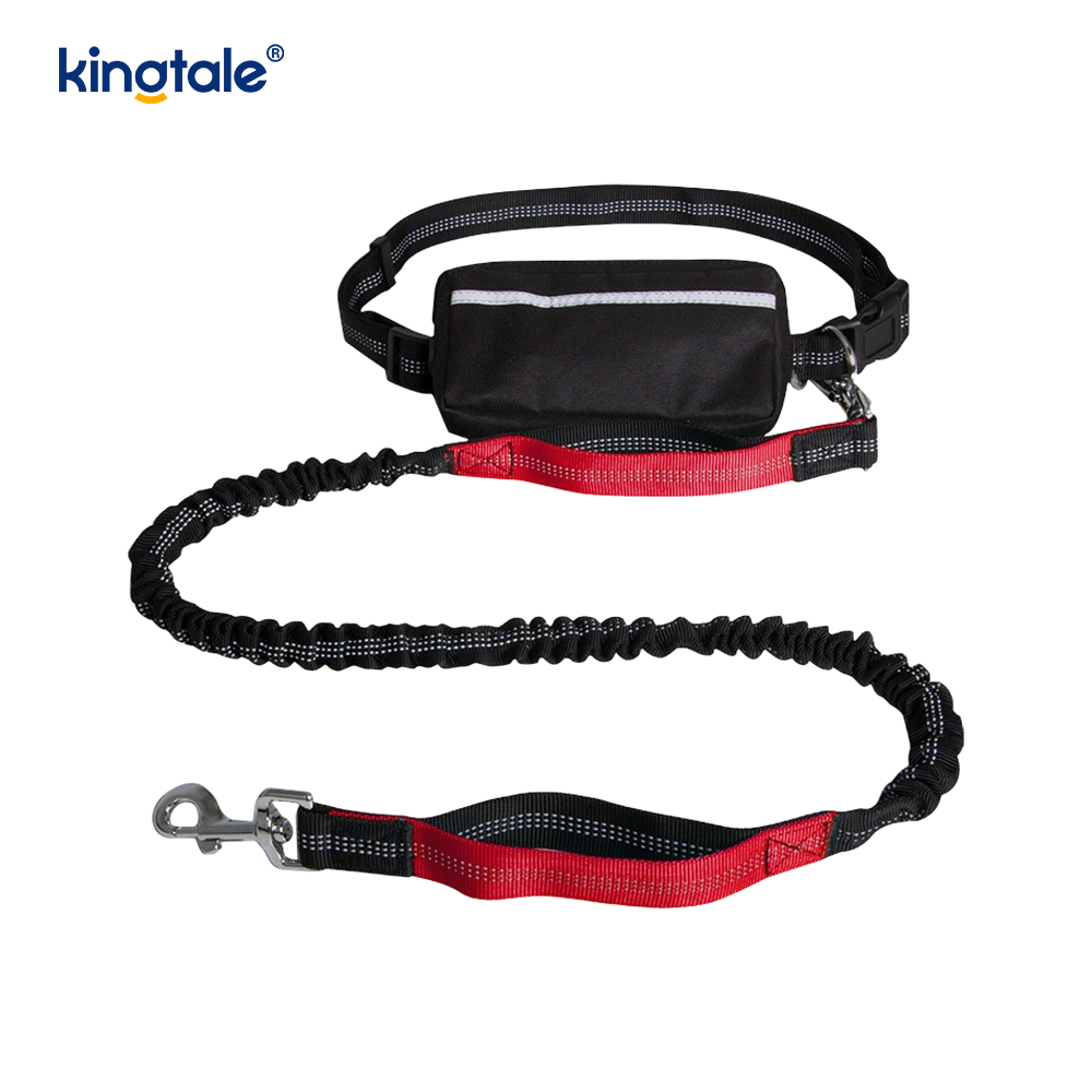 Laisse pour animaux de compagnie double course élastique réfléchissante avec pochette à fermeture éclair