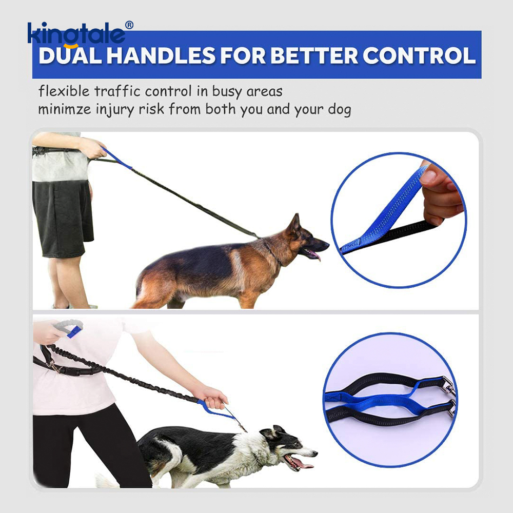 Laisse pour animaux de compagnie double course élastique réfléchissante avec pochette à fermeture éclair