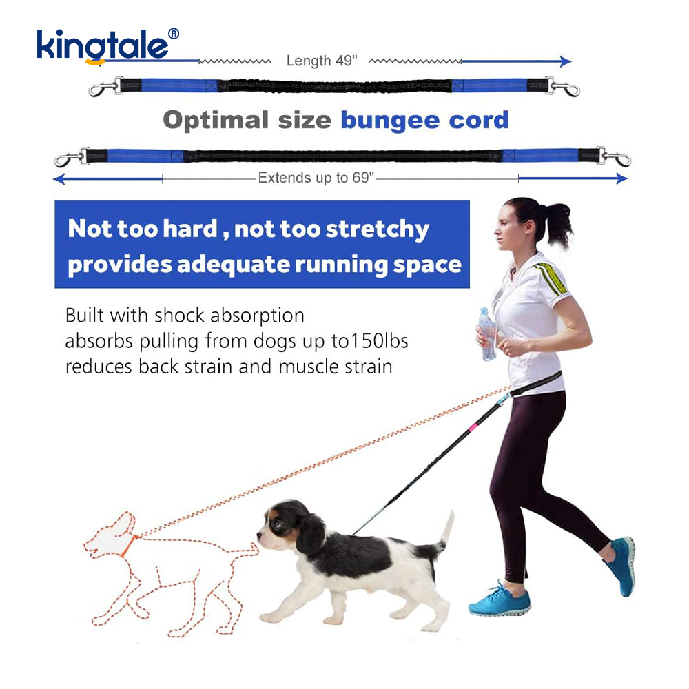 Laisse pour animaux de compagnie double course élastique réfléchissante avec pochette à fermeture éclair