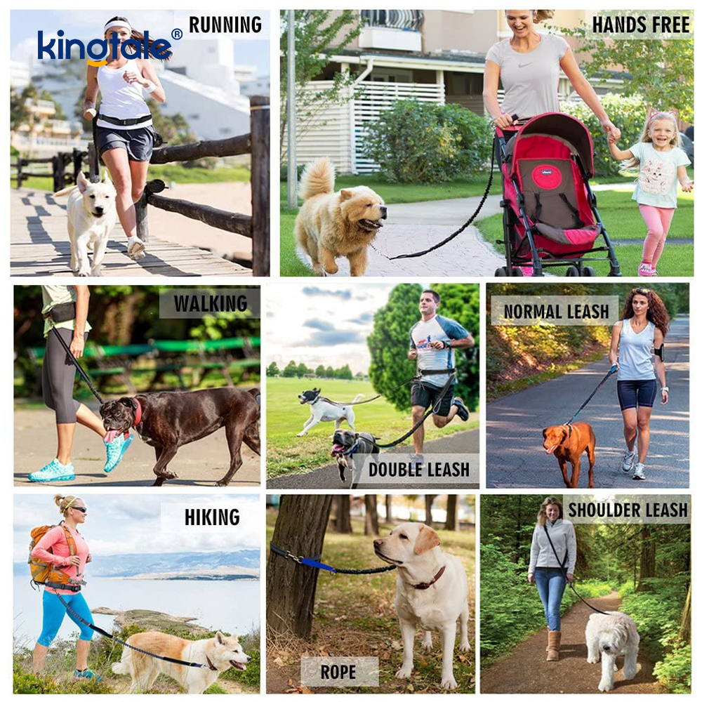 Laisse pour animaux de compagnie double course élastique réfléchissante avec pochette à fermeture éclair