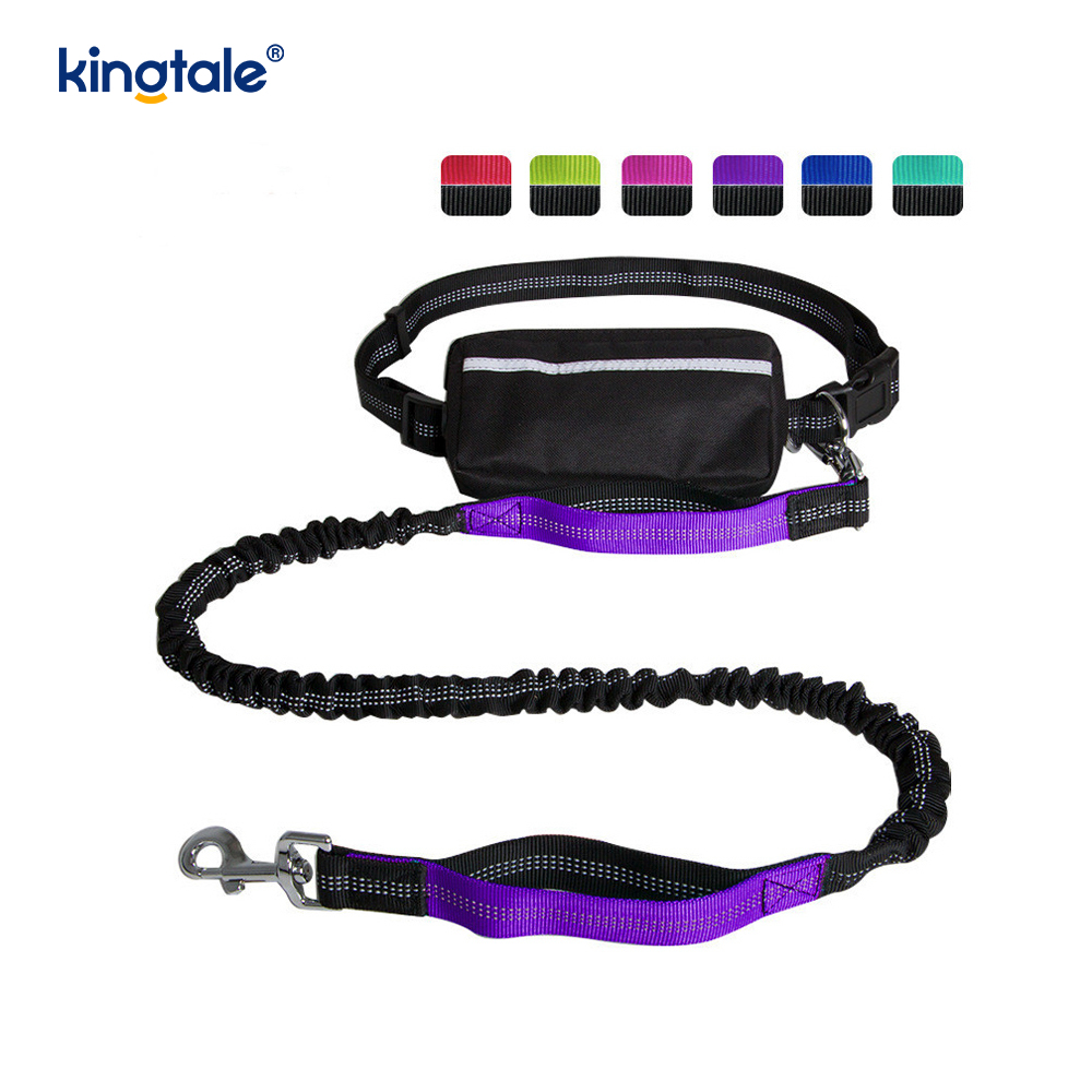 Laisse pour animaux de compagnie double course élastique réfléchissante avec pochette à fermeture éclair