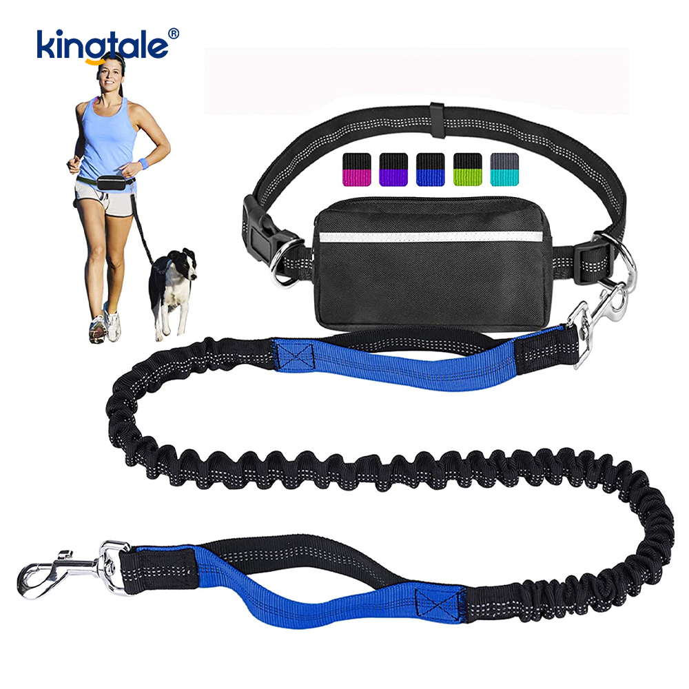 Laisse pour animaux de compagnie double course élastique réfléchissante avec pochette à fermeture éclair