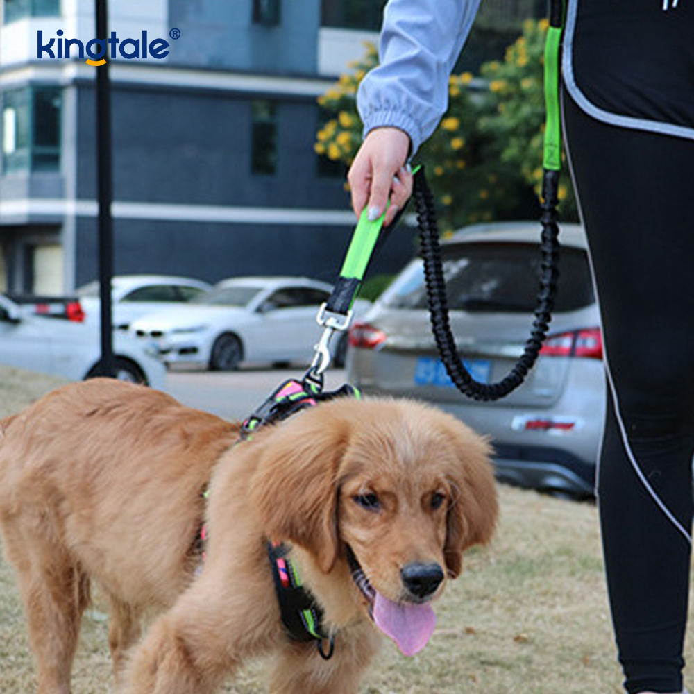 Laisse pour animaux de compagnie double course élastique réfléchissante avec pochette à fermeture éclair