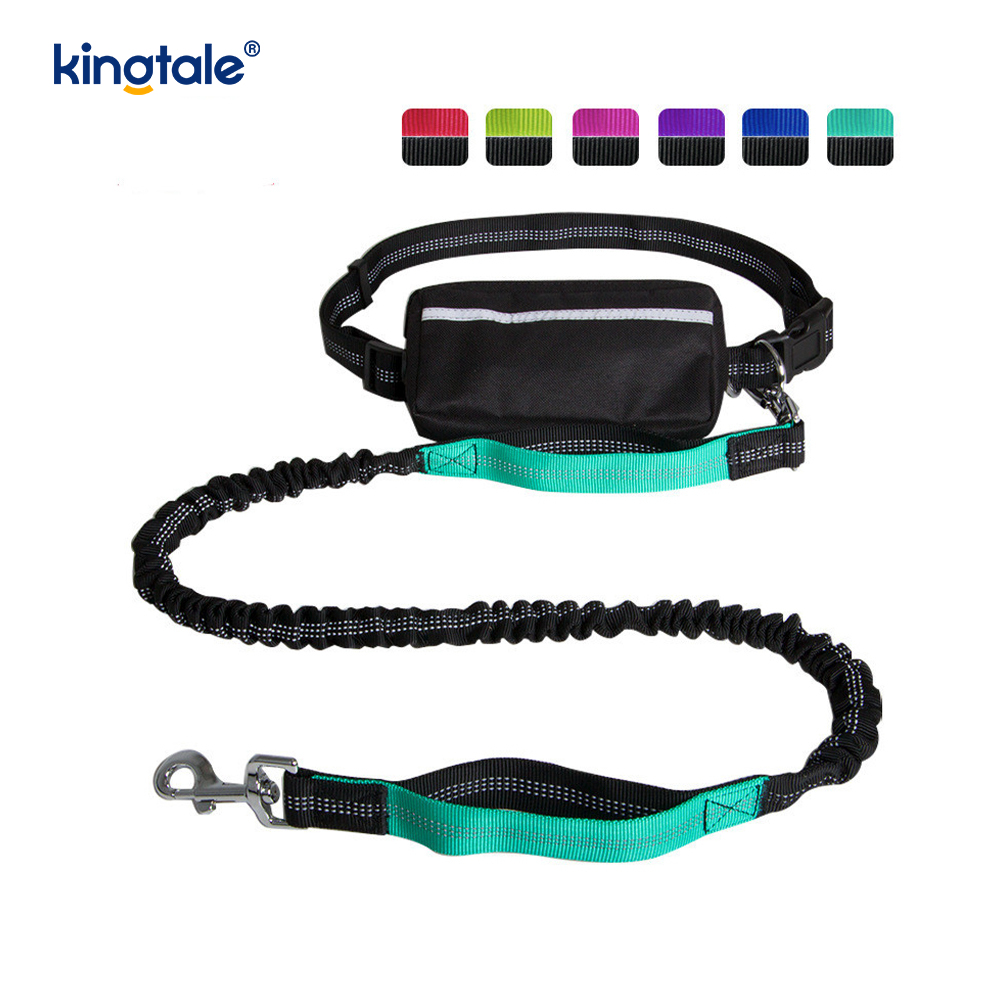 Laisse pour animaux de compagnie double course élastique réfléchissante avec pochette à fermeture éclair
