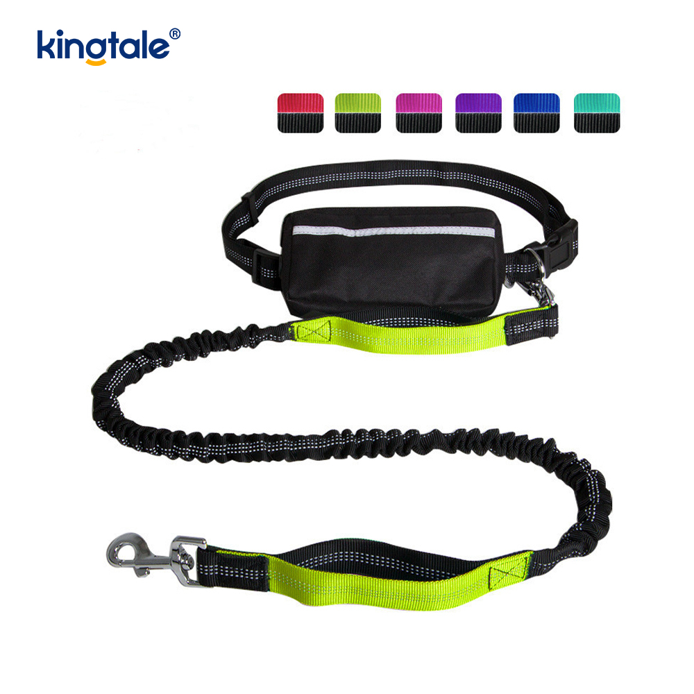Laisse pour animaux de compagnie double course élastique réfléchissante avec pochette à fermeture éclair