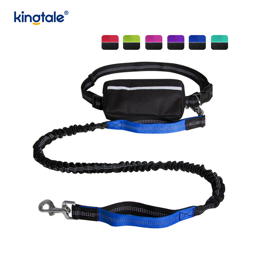Laisse pour animaux de compagnie double course élastique réfléchissante avec pochette à fermeture éclair