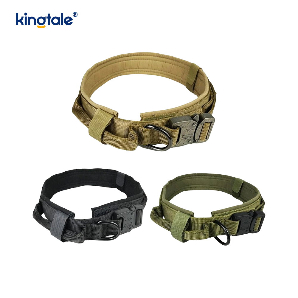 Collier de chien de ceinture de boucle en métal collier de chien résistant