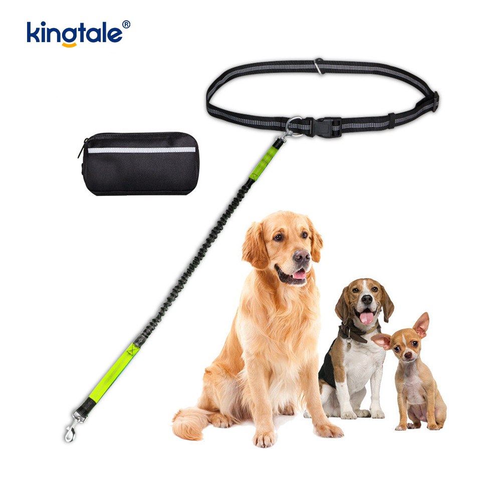 Laisse pour animaux de compagnie double course élastique réfléchissante avec pochette à fermeture éclair