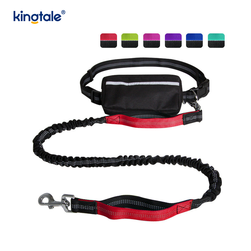Laisse pour animaux de compagnie double course élastique réfléchissante avec pochette à fermeture éclair