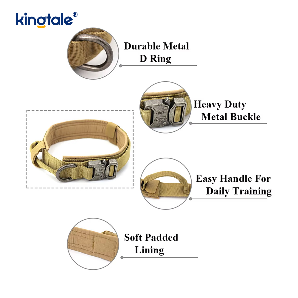 Collier de chien de ceinture de boucle en métal collier de chien résistant