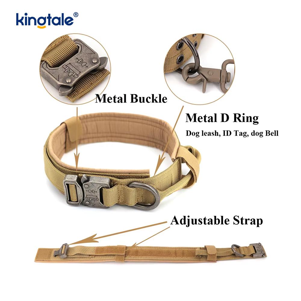 Collier de chien de ceinture de boucle en métal collier de chien résistant