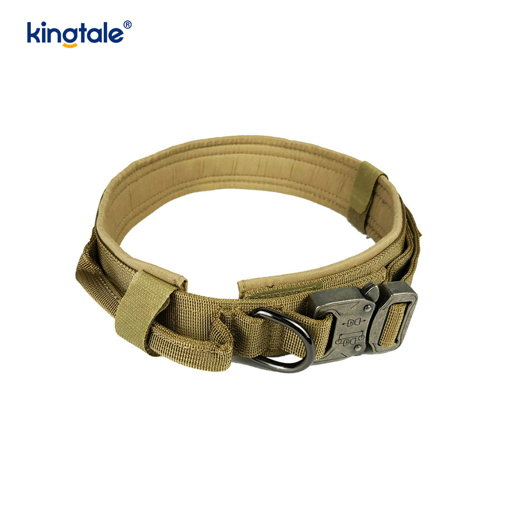 Collier de chien de ceinture de boucle en métal collier de chien résistant