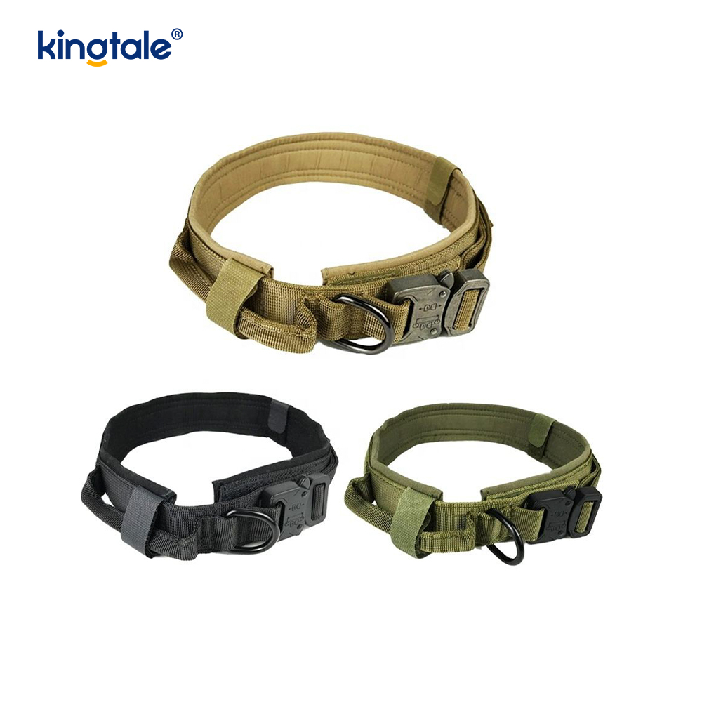 Collier de chien de ceinture de boucle en métal collier de chien résistant
