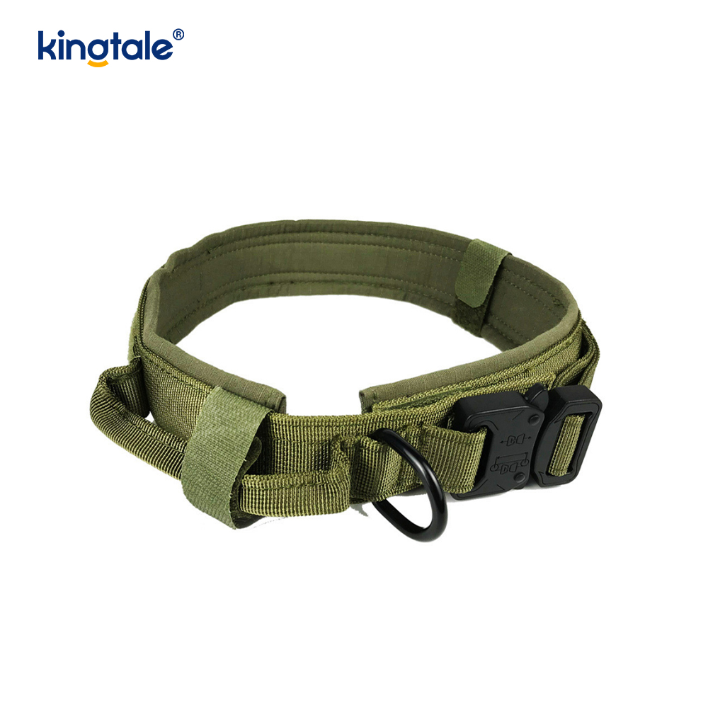 Collier de chien de ceinture de boucle en métal collier de chien résistant