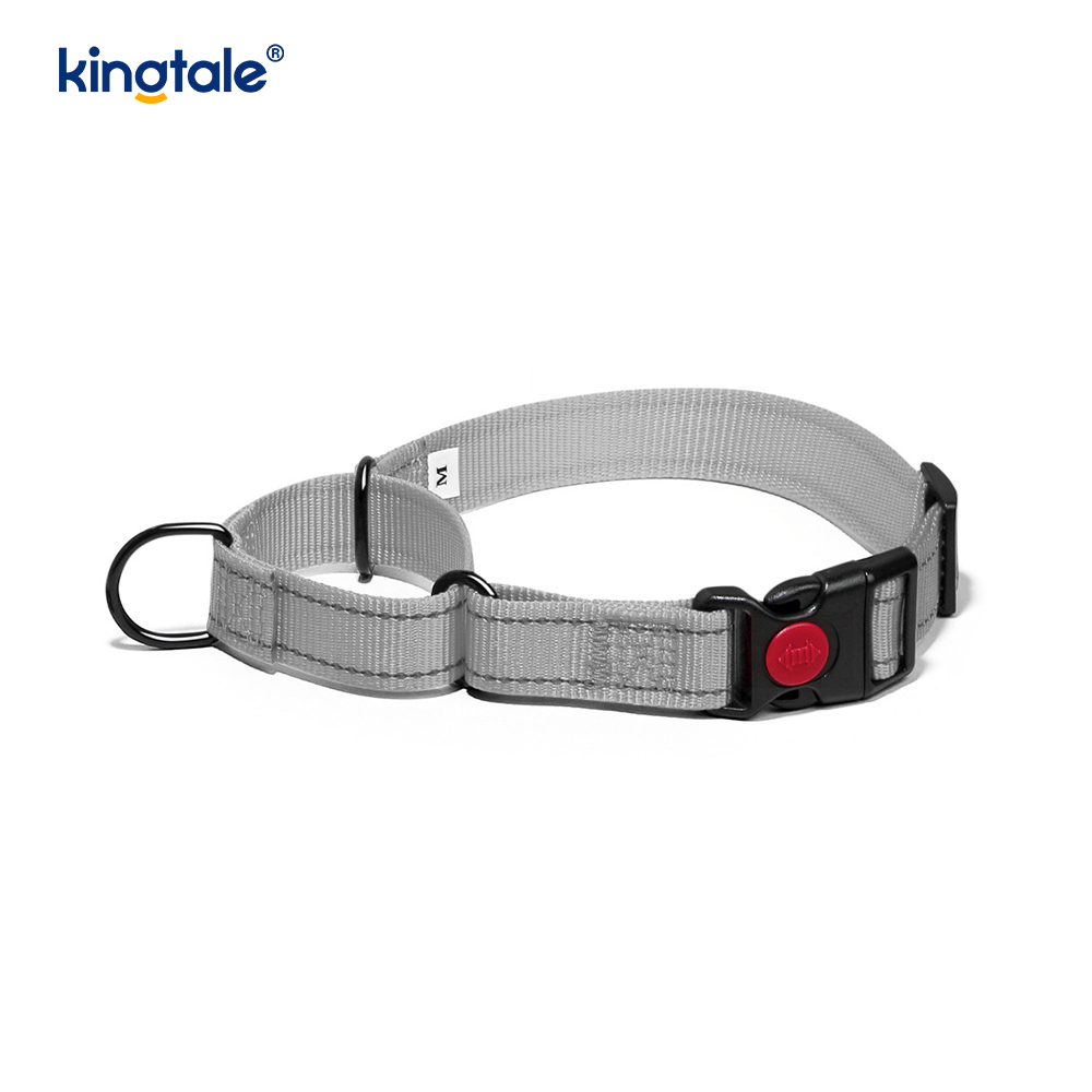 Collier de chien de martingale en nylon réglable réfléchissant sans traction pour les chiens S M A L L