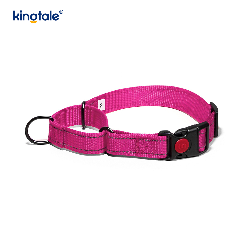 Collier de chien de martingale en nylon réglable réfléchissant sans traction pour les chiens S M A L L