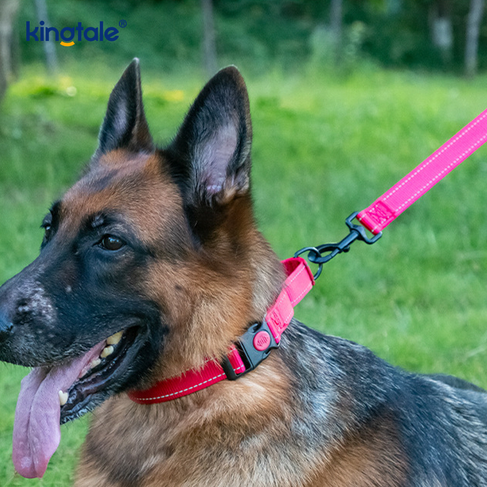Collier de chien de martingale en nylon réglable réfléchissant sans traction pour les chiens S M A L L