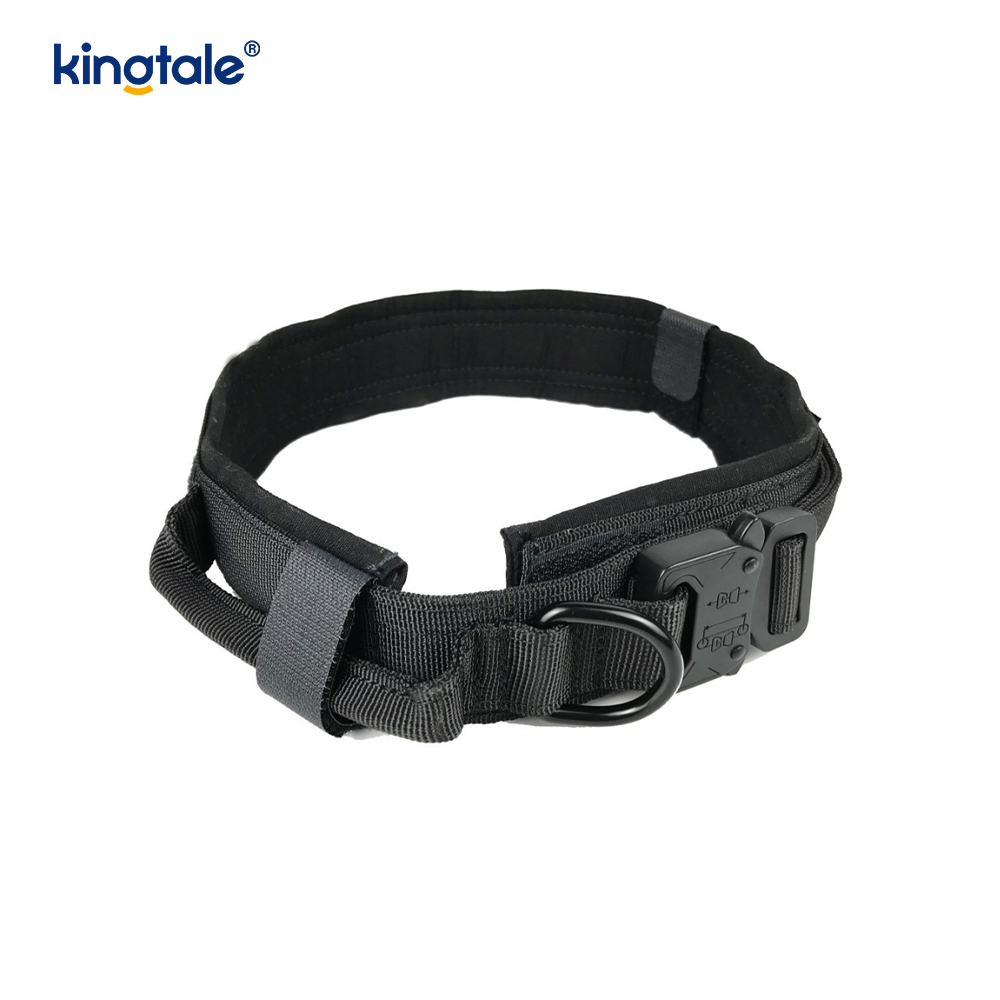 Collier de chien de ceinture de boucle en métal collier de chien résistant