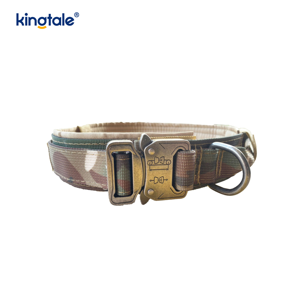 Collier de chien de ceinture de boucle en métal collier de chien résistant