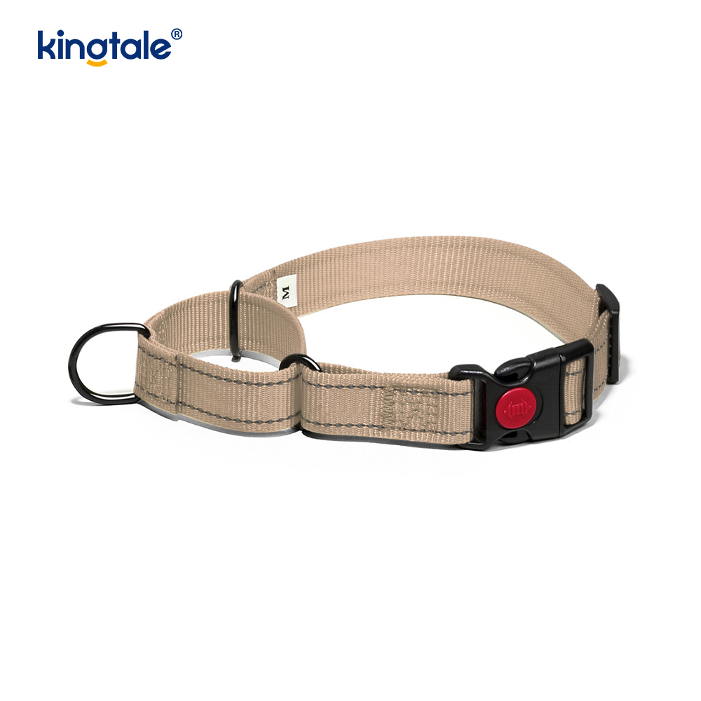 Collier de chien de martingale en nylon réglable réfléchissant sans traction pour les chiens S M A L L