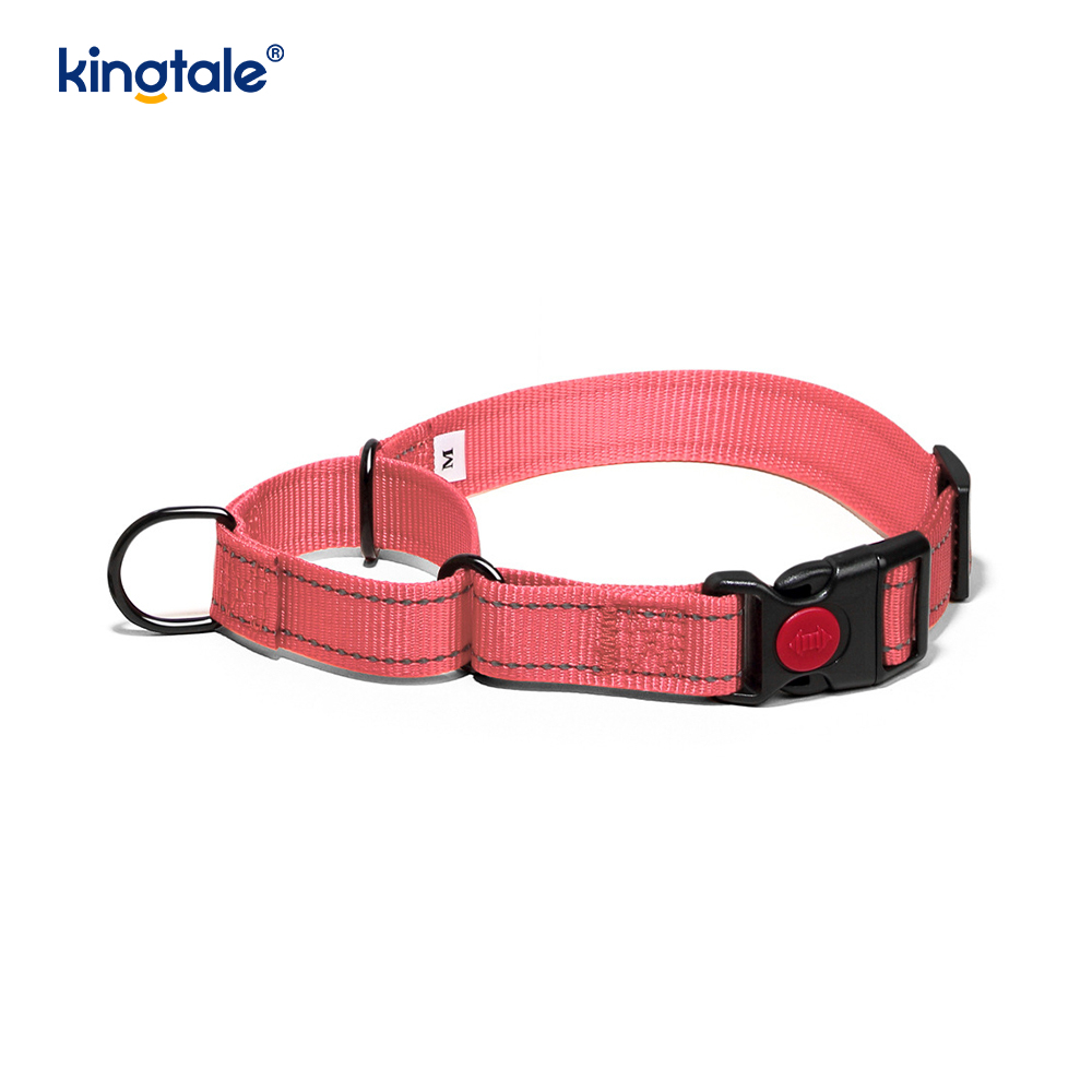 Collier de chien de martingale en nylon réglable réfléchissant sans traction pour les chiens S M A L L