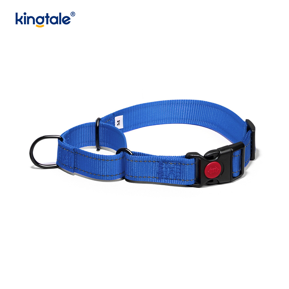 Collier de chien de martingale en nylon réglable réfléchissant sans traction pour les chiens S M A L L