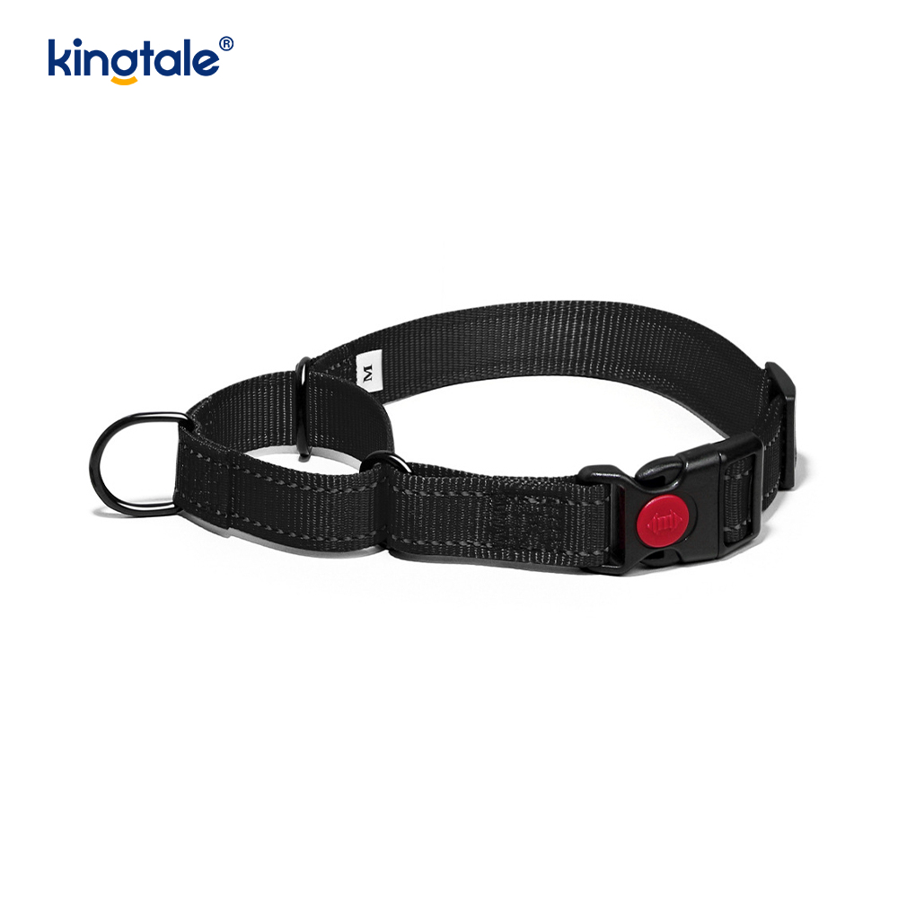 Collier de chien de martingale en nylon réglable réfléchissant sans traction pour les chiens S M A L L