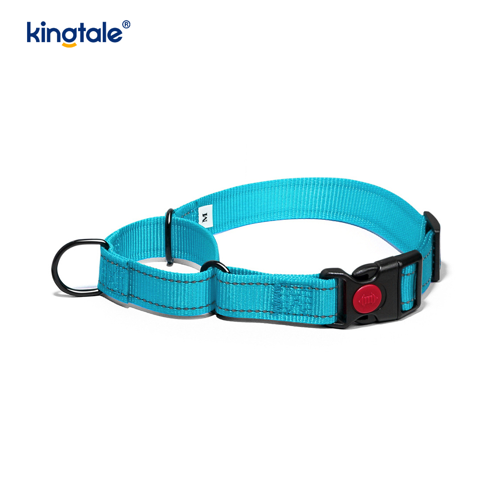 Collier de chien de martingale en nylon réglable réfléchissant sans traction pour les chiens S M A L L