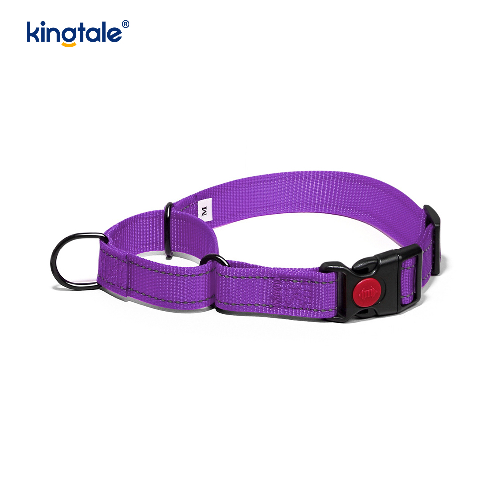 Collier de chien de martingale en nylon réglable réfléchissant sans traction pour les chiens S M A L L