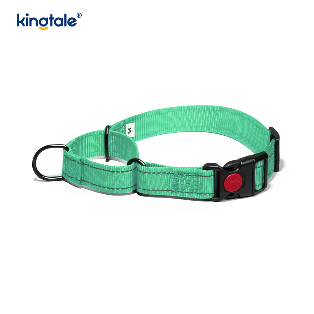 Collier de chien de martingale en nylon réglable réfléchissant sans traction pour les chiens S M A L L