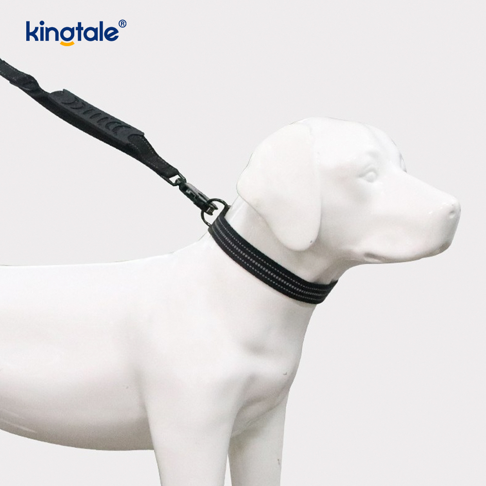 Laisse élastique réfléchissante pour collier de chien, tactique robuste, sans traction