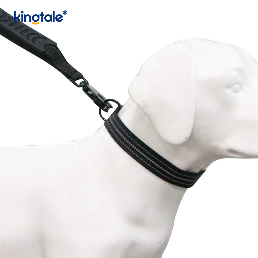 Laisse élastique réfléchissante pour collier de chien, tactique robuste, sans traction