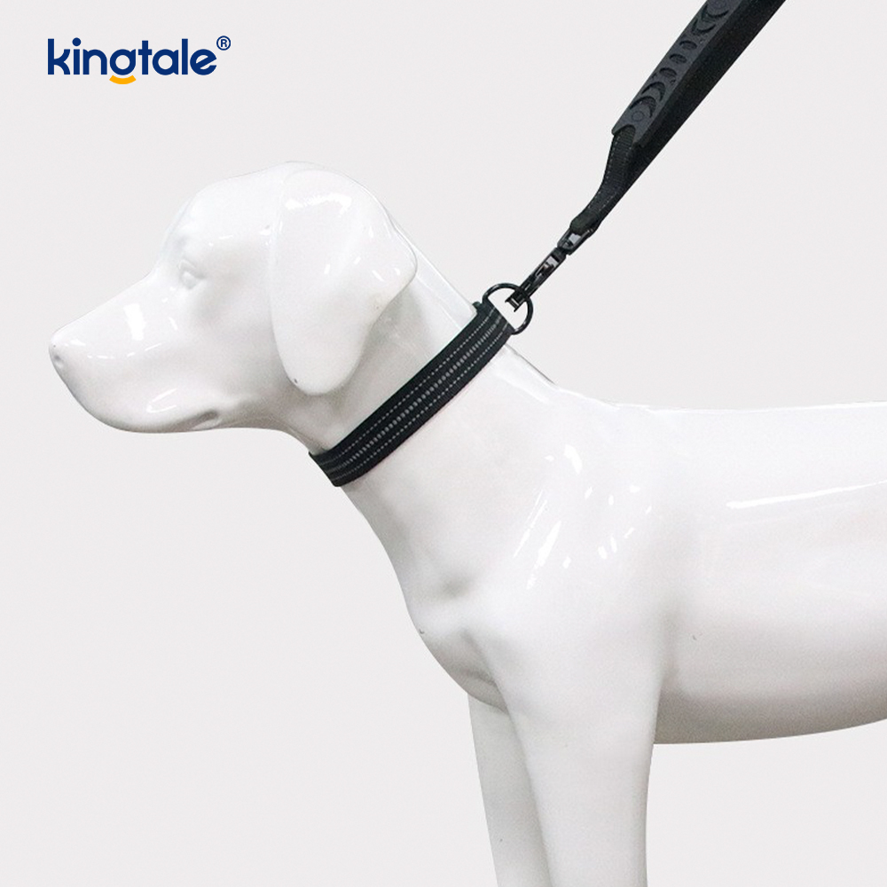 Laisse élastique réfléchissante pour collier de chien, tactique robuste, sans traction