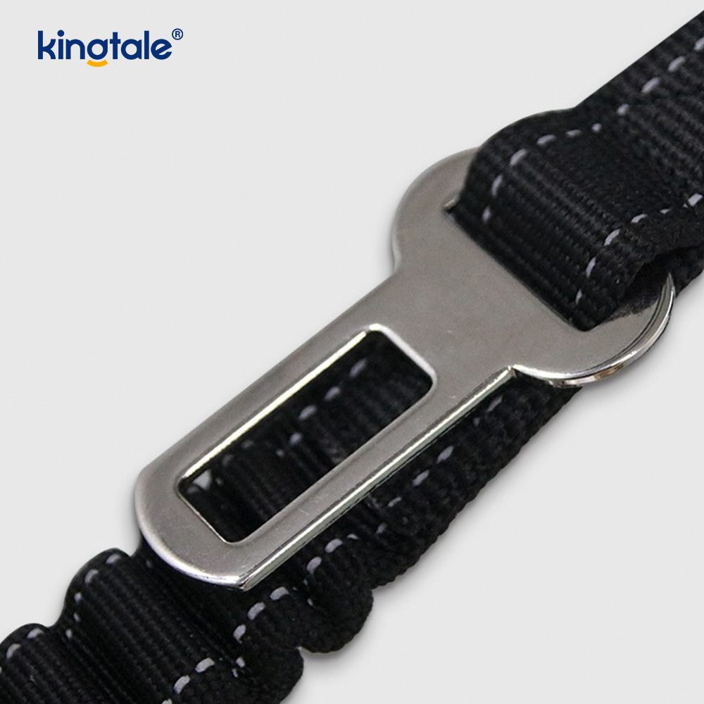 Laisse élastique réfléchissante pour collier de chien, tactique robuste, sans traction