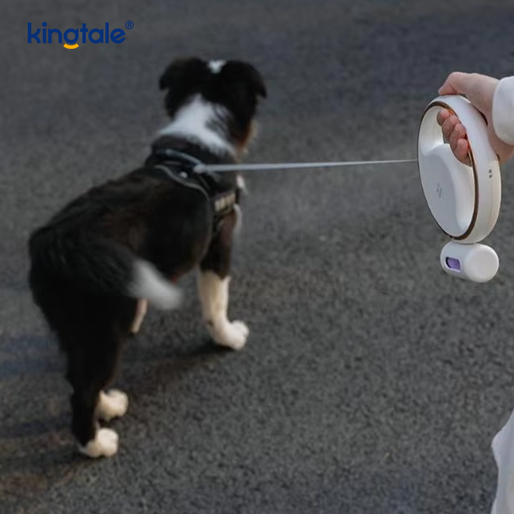 Laisse en nylon rétractable automatique de collier de chien d'éclairage mené moderne simple