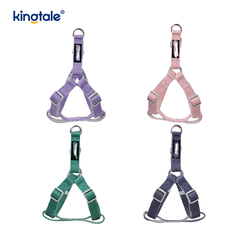 Ensemble personnalisé de laisse de collier de harnais de chien de modèle d'impression d'OEM/ODM