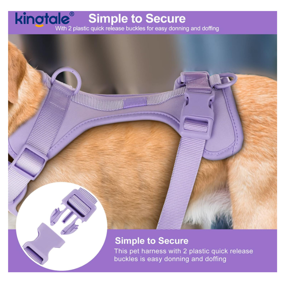 Collier de laisse de harnais de chien léger en PVC réglable pour animaux de compagnie personnalisé sans traction