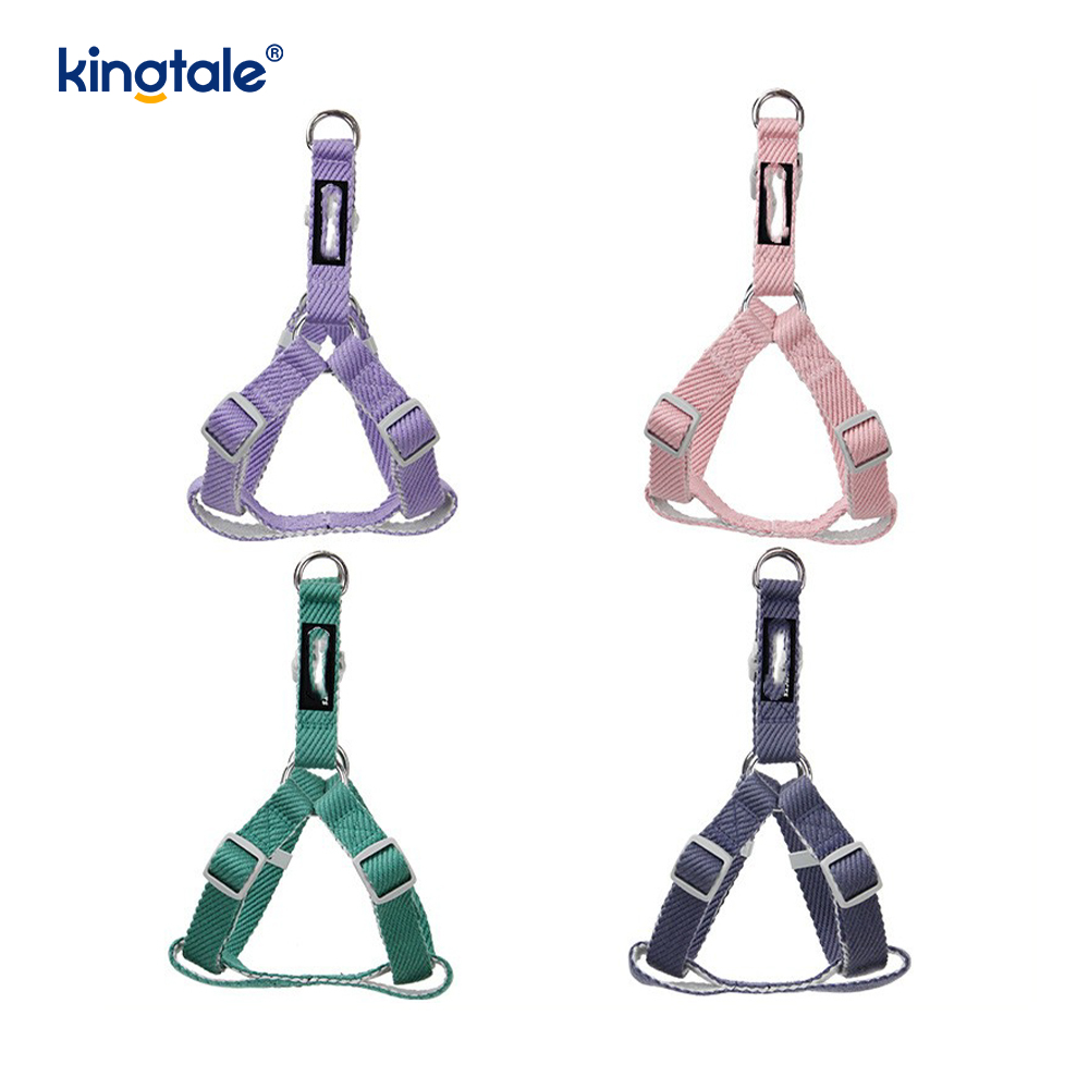 Ensemble personnalisé de laisse de collier de harnais de chien de modèle d'impression d'OEM/ODM