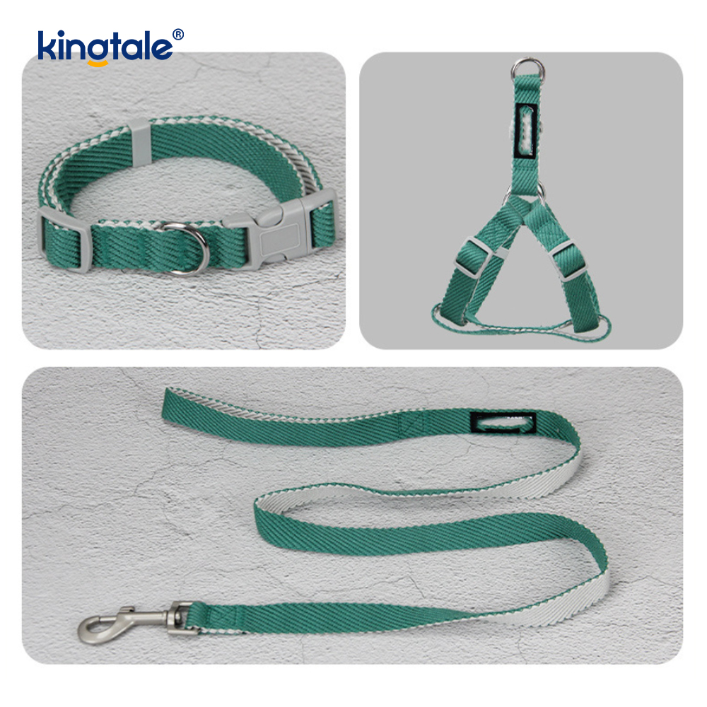 Ensemble personnalisé de laisse de collier de harnais de chien de modèle d'impression d'OEM/ODM