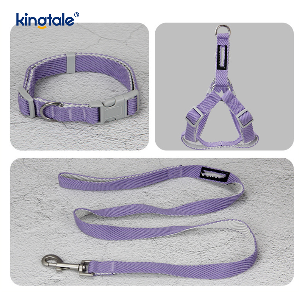 Ensemble personnalisé de laisse de collier de harnais de chien de modèle d'impression d'OEM/ODM