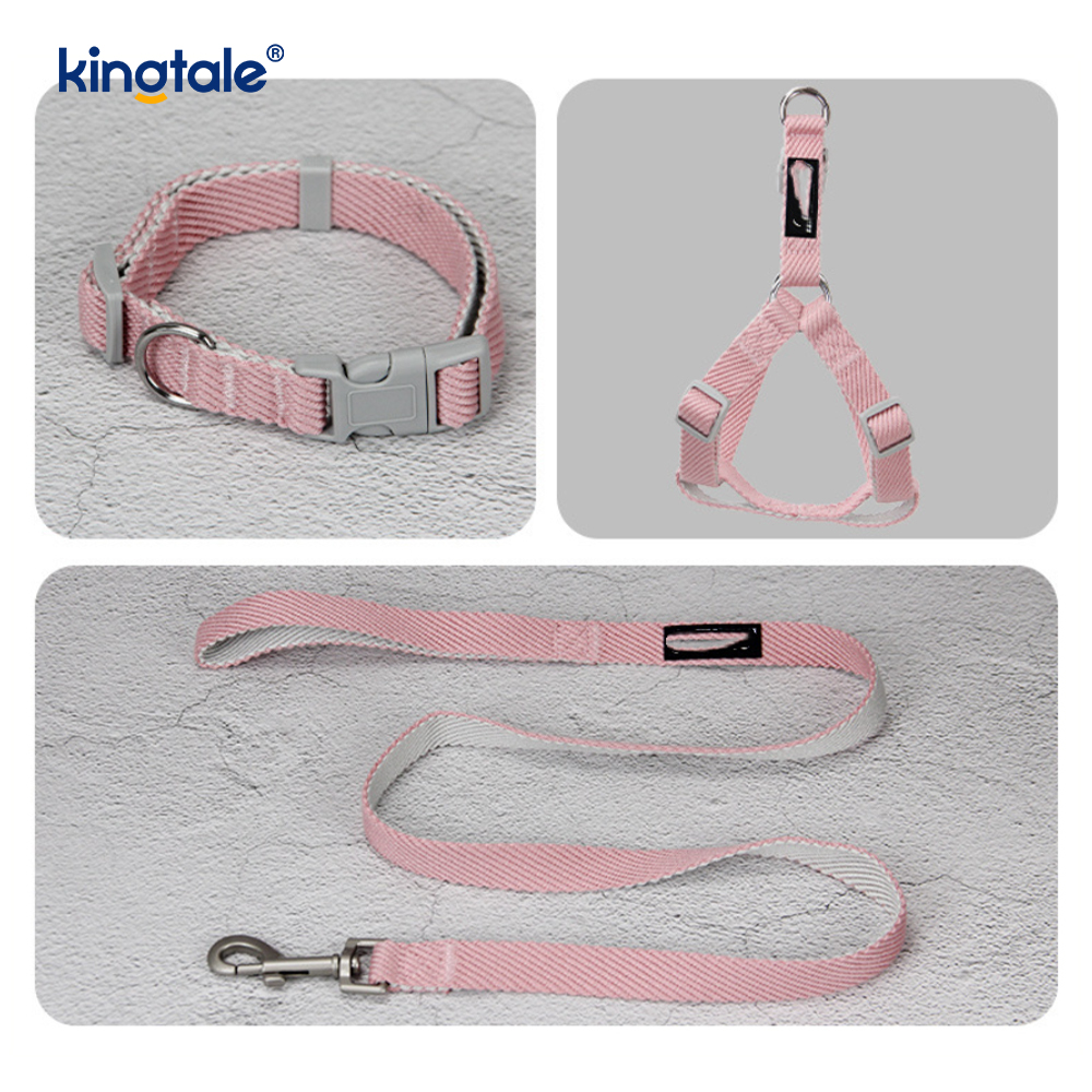 Ensemble personnalisé de laisse de collier de harnais de chien de modèle d'impression d'OEM/ODM