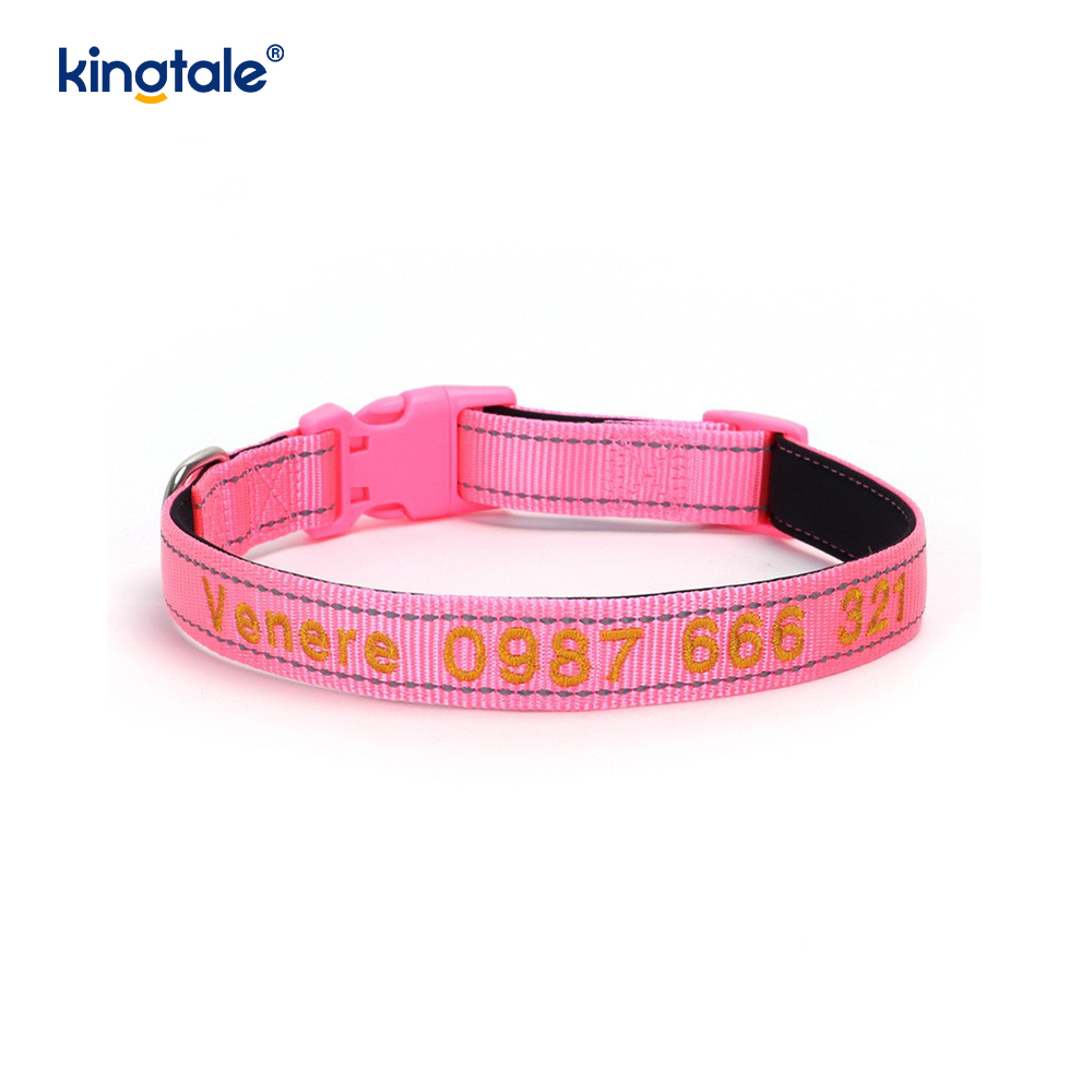 Conception de boucle codée de collier de chien d'assistance pour prévenir les accidents