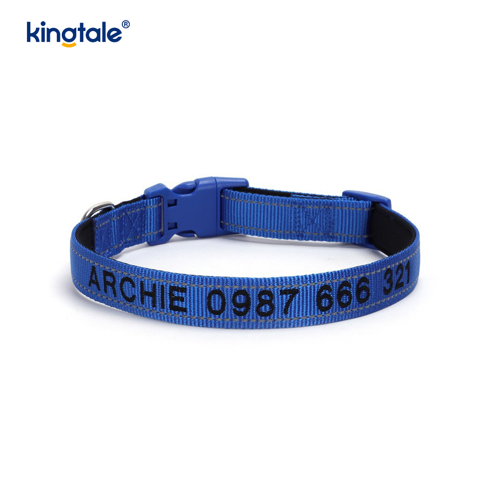 Conception de boucle codée de collier de chien d'assistance pour prévenir les accidents