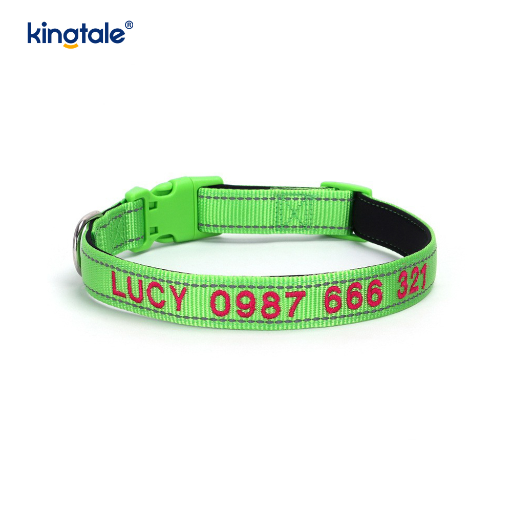 Conception de boucle codée de collier de chien d'assistance pour prévenir les accidents