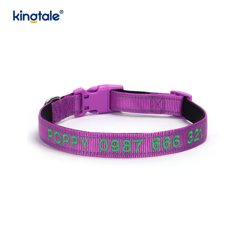 Conception de boucle codée de collier de chien d'assistance pour prévenir les accidents