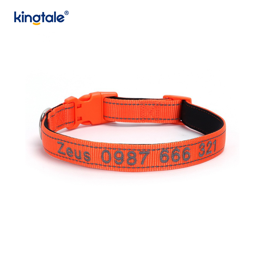 Conception de boucle codée de collier de chien d'assistance pour prévenir les accidents