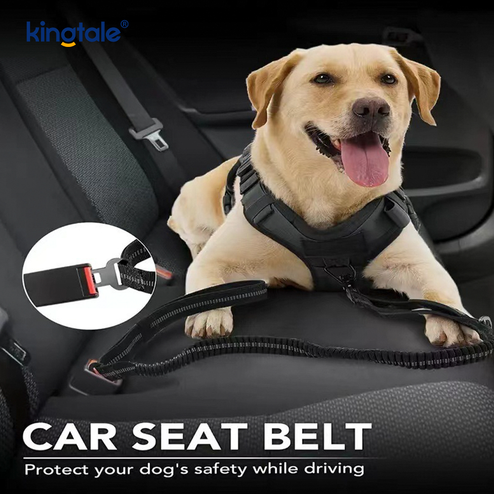 Laisse pour chien robuste 4 en 1 avec ceinture de sécurité de voiture et poignée rembourrée douce