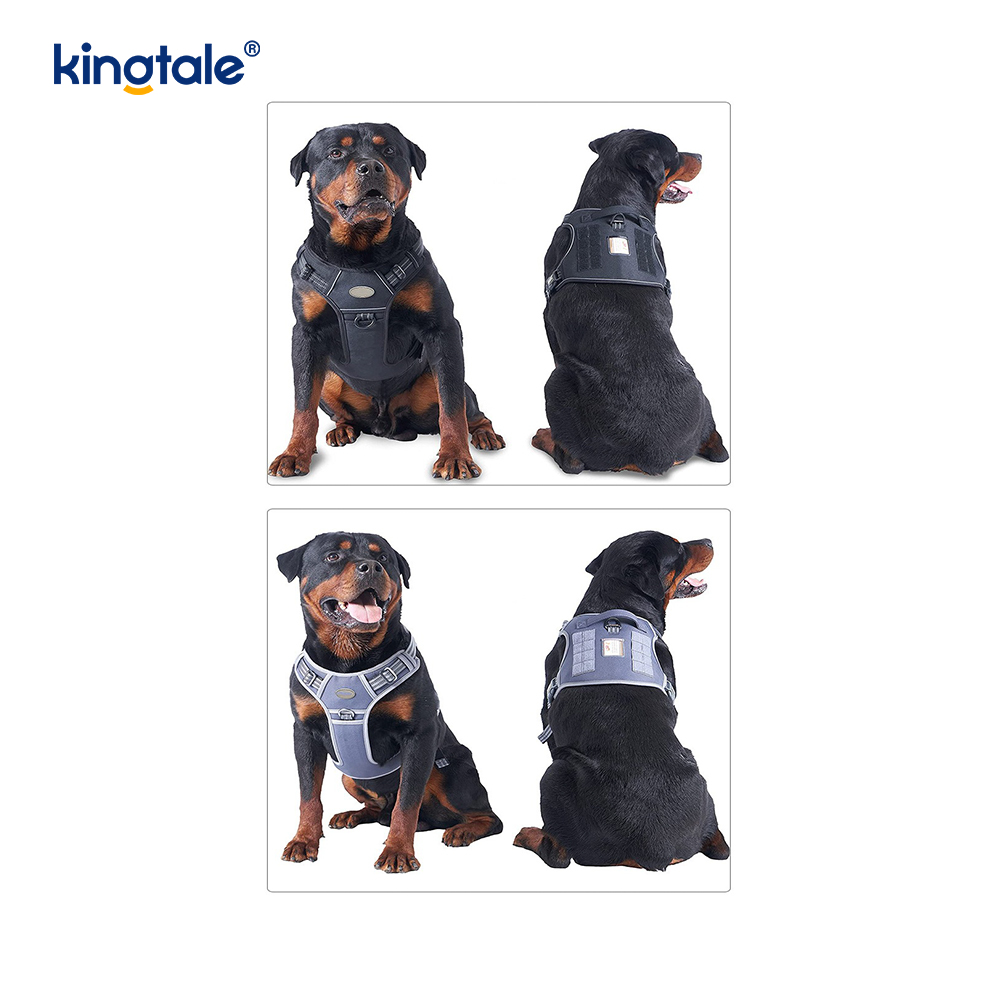 Ceinture en Nylon robuste sans traction pour chien, gilet, harnais d'entraînement, poitrine