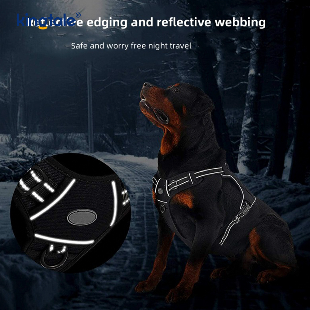 Ceinture en Nylon robuste sans traction pour chien, gilet, harnais d'entraînement, poitrine